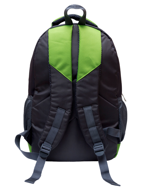 BP6013 (BACK VIEW)